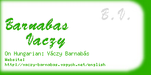 barnabas vaczy business card