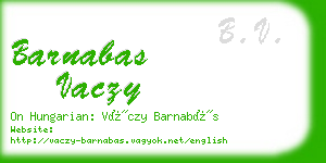 barnabas vaczy business card